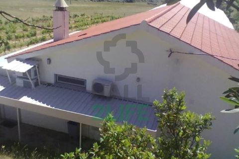 Landejendom i Orjais, Castelo Branco, Orjais - € 1.000.000 | Ref: 2022_1 - foto 17
