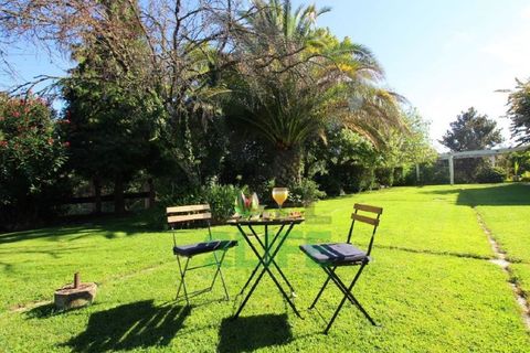 Landejendom i Orjais, Castelo Branco, Orjais - € 1.000.000 | Ref: 2022_1 - foto 21