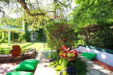 Landejendom i Orjais, Castelo Branco, Orjais - € 1.000.000 | Ref: 2022_1 - foto 22