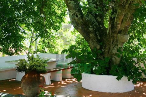Landejendom i Orjais, Castelo Branco, Orjais - € 1.000.000 | Ref: 2022_1 - foto 23