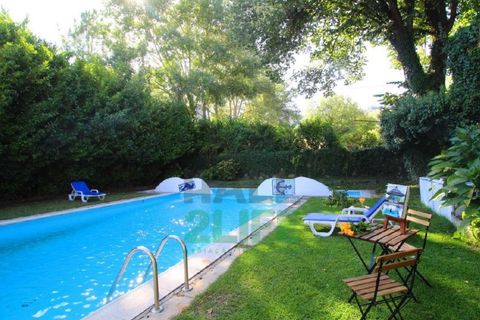 Landejendom i Orjais, Castelo Branco, Orjais - € 1.000.000 | Ref: 2022_1 - foto 24