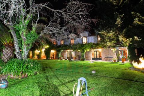 Landejendom i Orjais, Castelo Branco, Orjais - € 1.000.000 | Ref: 2022_1 - foto 44