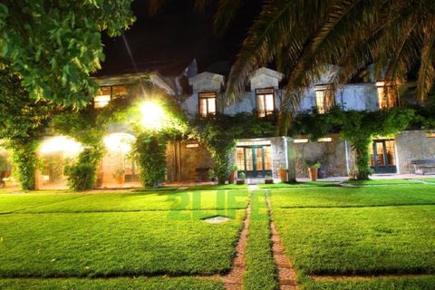 Landejendom i Orjais, Castelo Branco, Orjais - € 1.000.000 | Ref: 2022_1 - foto 45