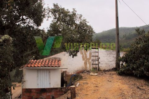Farm i Monchique, Faro, Monchique - € 599.000 | Ref: QTA-5500 - foto 7
