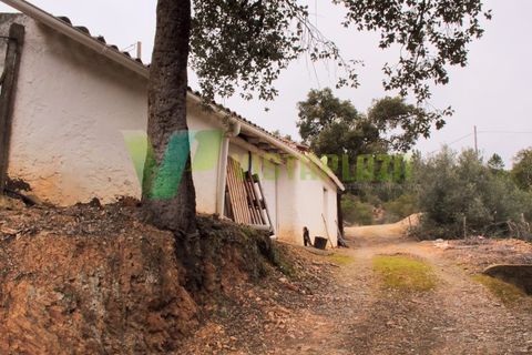 Farm i Monchique, Faro, Monchique - € 599.000 | Ref: QTA-5500 - foto 8