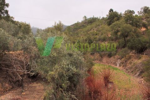 Farm i Monchique, Faro, Monchique - € 599.000 | Ref: QTA-5500 - foto 9