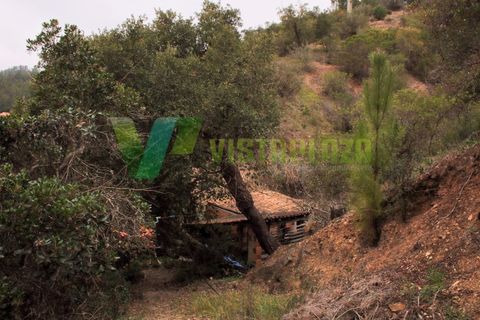 Farm i Monchique, Faro, Monchique - € 599.000 | Ref: QTA-5500 - foto 12
