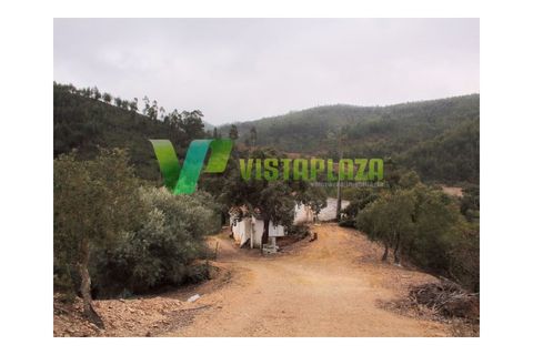 Farm i Monchique, Faro, Monchique - € 599.000 | Ref: QTA-5500 - foto 14