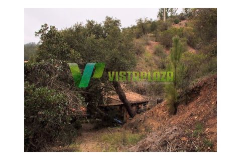 Farm i Monchique, Faro, Monchique - € 599.000 | Ref: QTA-5500 - foto 15