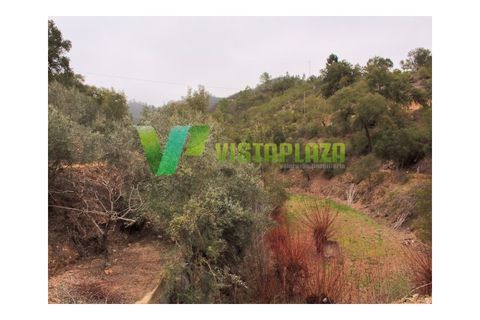 Farm i Monchique, Faro, Monchique - € 599.000 | Ref: QTA-5500 - foto 17