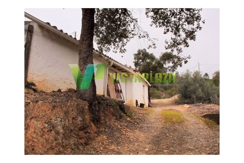 Farm i Monchique, Faro, Monchique - € 599.000 | Ref: QTA-5500 - foto 18