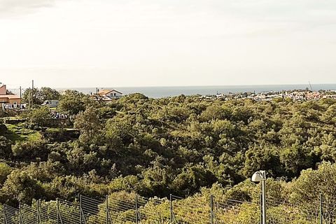 Byhus i Albufeira, Faro, Albufeira - € 525.000 | Ref: PL/367 - foto 6