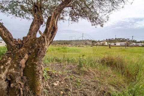 Farm i Evora, Evora, Evora - € 249.000 | Ref: 1889.1 - foto 5