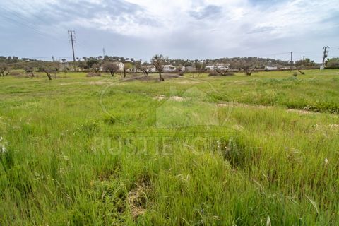 Farm i Evora, Evora, Evora - € 249.000 | Ref: 1889.1 - foto 6