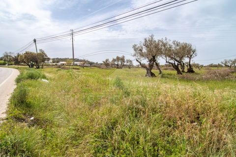 Farm i Evora, Evora, Evora - € 249.000 | Ref: 1889.1 - foto 7