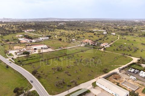 Farm i Evora, Evora, Evora - € 249.000 | Ref: 1889.1 - foto 14