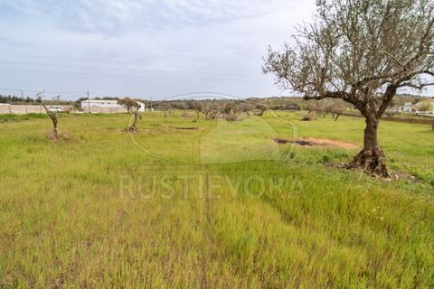 Farm i Evora, Evora, Evora - € 249.000 | Ref: 1889.1 - foto 18