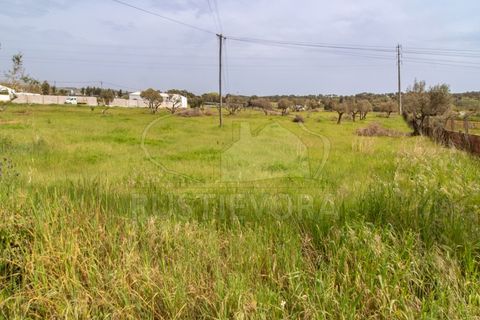 Farm i Evora, Evora, Evora - € 249.000 | Ref: 1889.1 - foto 20
