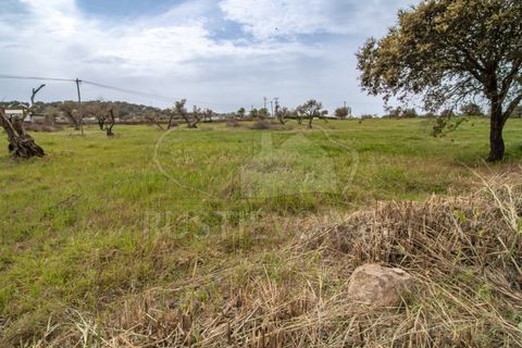 Farm i Evora, Evora, Evora - € 249.000 | Ref: 1889.1 - foto 21