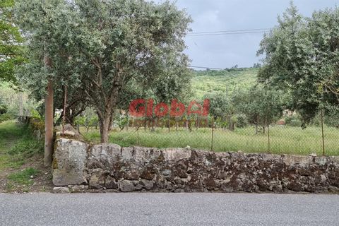 Helårsgrund i Viseu, Viseu, Viseu - € 51.000 | Ref: 189222094 - foto 3