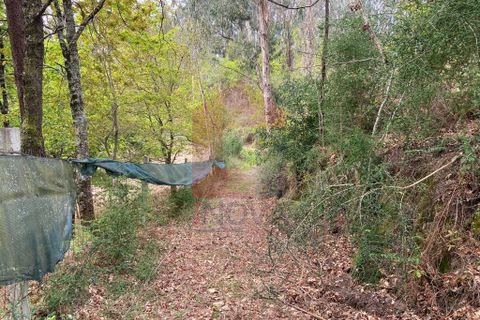 Helårsgrund i Vila Verde, Braga, Vila Verde - € 9.000 | Ref: 07597 - foto 2