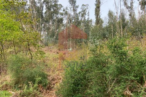 Helårsgrund i Vila Verde, Braga, Vila Verde - € 9.000 | Ref: 07597 - foto 3