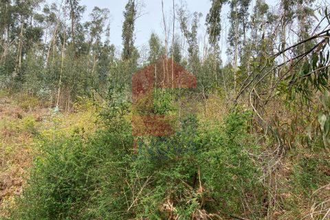 Helårsgrund i Vila Verde, Braga, Vila Verde - € 9.000 | Ref: 07597 - foto 4