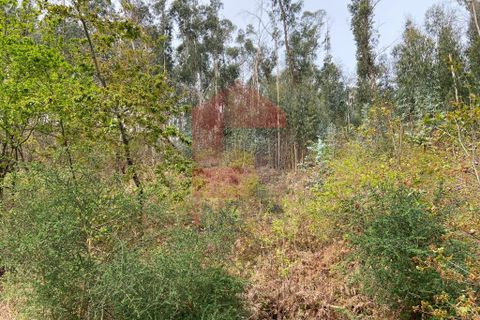 Helårsgrund i Vila Verde, Braga, Vila Verde - € 9.000 | Ref: 07597 - foto 5