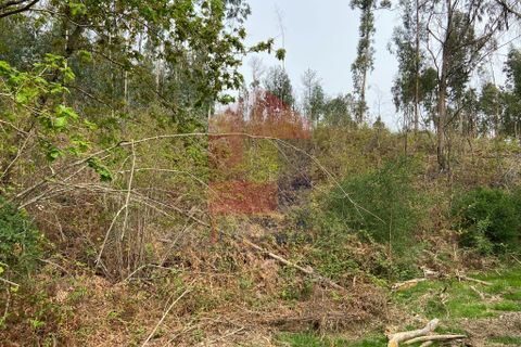 Helårsgrund i Vila Verde, Braga, Vila Verde - € 9.000 | Ref: 07597 - foto 8