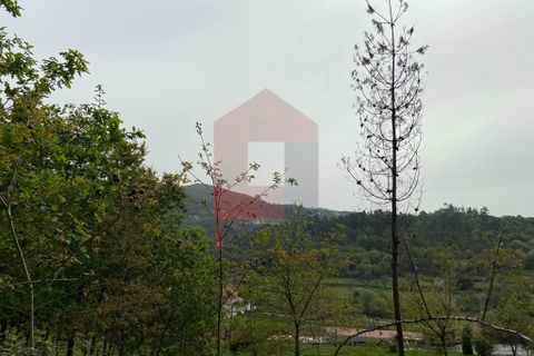 Helårsgrund i Vila Verde, Braga, Vila Verde - € 9.000 | Ref: 07597 - foto 9