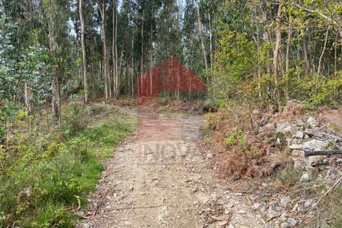 Helårsgrund i Vila Verde, Braga, Vila Verde - € 9.000 | Ref: 07597 - foto 13