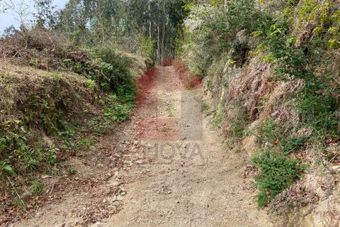 Helårsgrund i Vila Verde, Braga, Vila Verde - € 9.000 | Ref: 07597 - foto 15