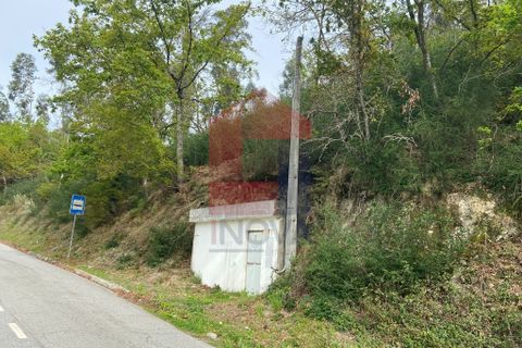 Helårsgrund i Vila Verde, Braga, Vila Verde - € 9.000 | Ref: 07597 - foto 18