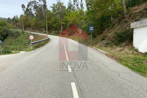 Helårsgrund i Vila Verde, Braga, Vila Verde - € 9.000 | Ref: 07597 - foto 19