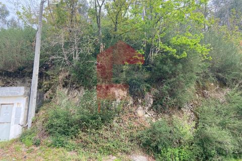 Helårsgrund i Vila Verde, Braga, Vila Verde - € 9.000 | Ref: 07597 - foto 20