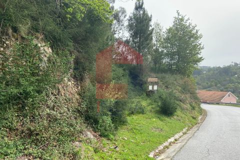 Helårsgrund i Vila Verde, Braga, Vila Verde - € 9.000 | Ref: 07597 - foto 21