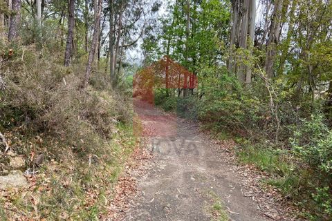 Helårsgrund i Vila Verde, Braga, Vila Verde - € 8.200 | Ref: 07598 - foto 12