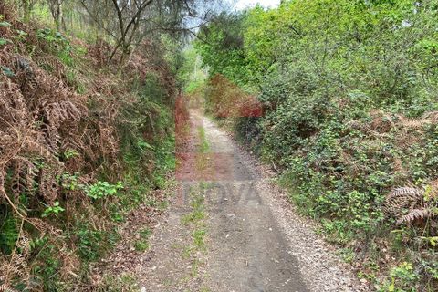 Helårsgrund i Vila Verde, Braga, Vila Verde - € 8.200 | Ref: 07598 - foto 14