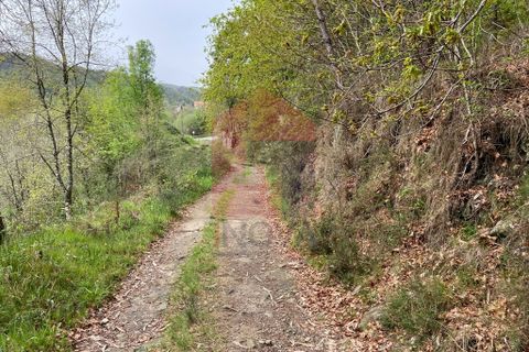 Helårsgrund i Vila Verde, Braga, Vila Verde - € 8.200 | Ref: 07598 - foto 15