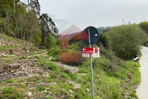 Helårsgrund i Vila Verde, Braga, Vila Verde - € 8.200 | Ref: 07598 - foto 16