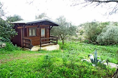 Herregård i Noto, Siracusa, Noto - € 650 000 | Ref: 49T - foto 4