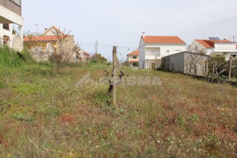 Helårsgrund i Castelo Branco, Castelo Branco, Castelo Branco - € 91.900 | Ref: PP008/A - foto 2