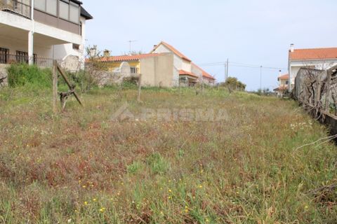 Helårsgrund i Castelo Branco, Castelo Branco, Castelo Branco - € 91.900 | Ref: PP008/A - foto 3