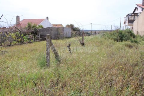 Helårsgrund i Castelo Branco, Castelo Branco, Castelo Branco - € 91.900 | Ref: PP008/A - foto 4