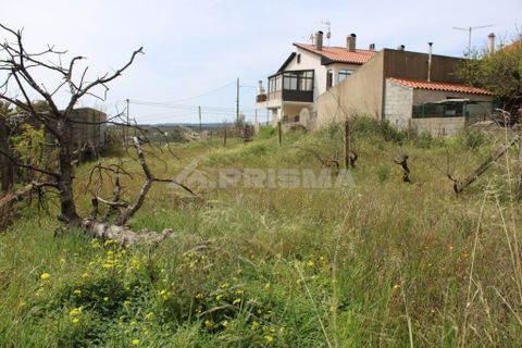 Helårsgrund i Castelo Branco, Castelo Branco, Castelo Branco - € 91.900 | Ref: PP008/A - foto 6
