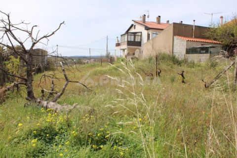 Helårsgrund i Castelo Branco, Castelo Branco, Castelo Branco - € 91.900 | Ref: PP008/A - foto 7