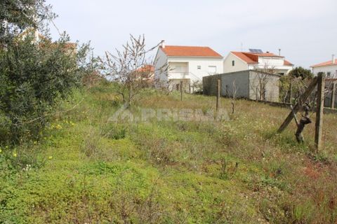 Helårsgrund i Castelo Branco, Castelo Branco, Castelo Branco - € 91.900 | Ref: PP008/A - foto 8