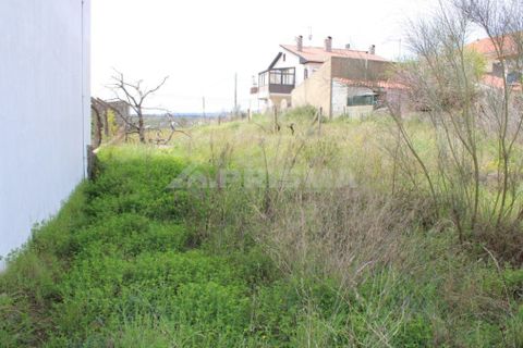 Helårsgrund i Castelo Branco, Castelo Branco, Castelo Branco - € 91.900 | Ref: PP008/A - foto 9