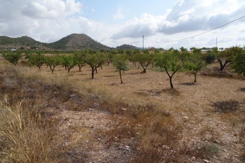 Landejendom i Ubeda, Alicante, Ubeda - € 119.900 | Ref: CF2519 - foto 44