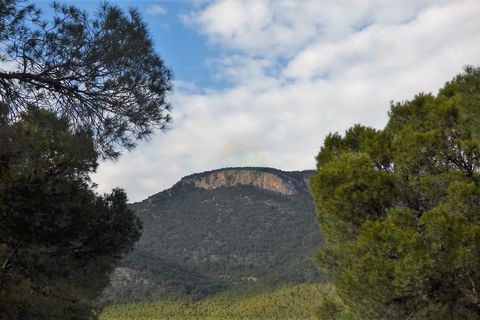 Terra a Lorca, Murcia, Lorca - € 55.000 | Ref: PlotLorca - foto 5